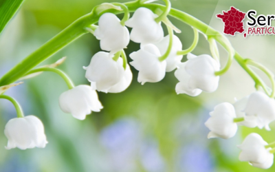 Vendre du muguet le 1er mai, en famille, avec ses enfants …