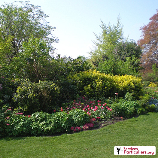 Paysagiste Jardinage / entretien Benjamin SANCHEZ à Poissy